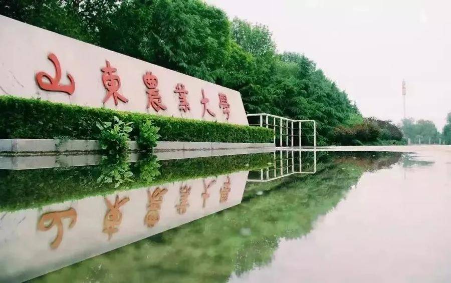 山东大学音乐研究生招生简章_山东大学音乐系研究生招生简章_山东大学音乐招生简章2021