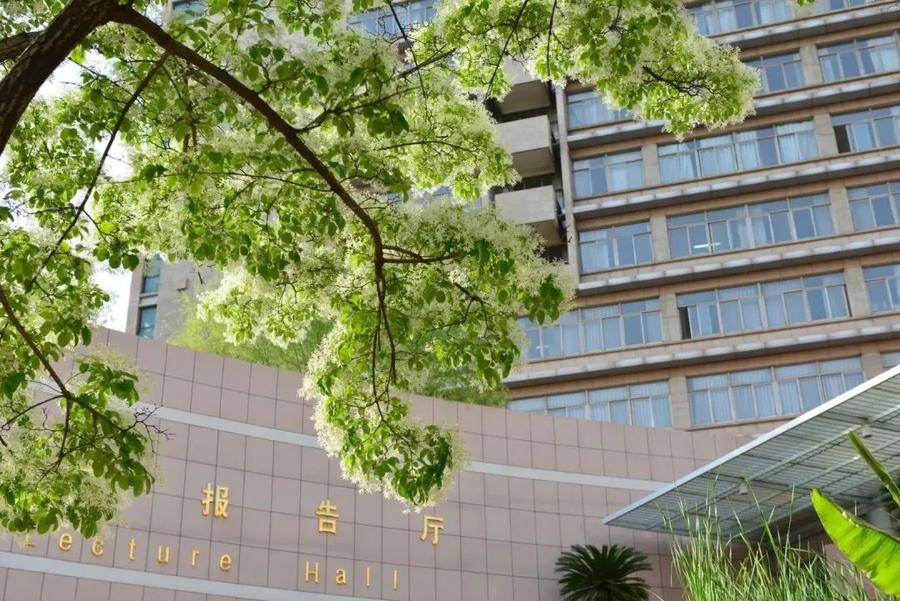 山东大学音乐系研究生招生简章_山东大学音乐招生简章2021_山东大学音乐研究生招生简章