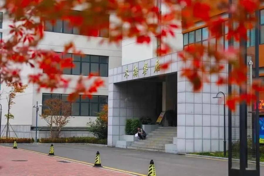 山东大学音乐招生简章2021_山东大学音乐研究生招生简章_山东大学音乐系研究生招生简章