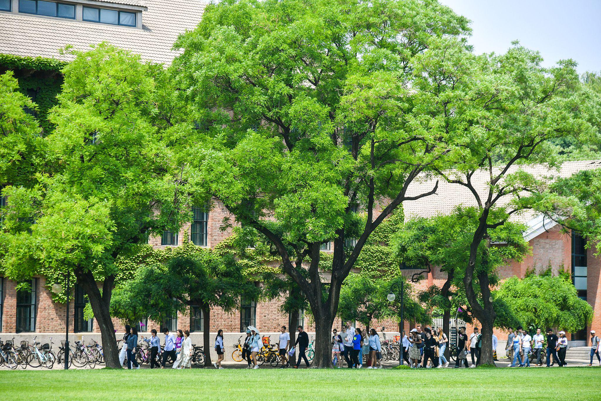 2024年5月9日，北京，清华大学校园里的学生。