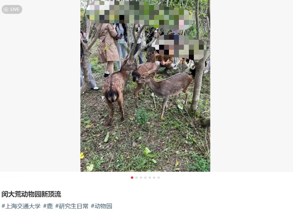 上海交通大学院系_上海交大学院设置_上海大学交通