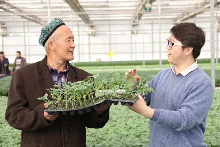 阿克苏大学_阿克苏大学什么时候放寒假_阿克苏大学有几个