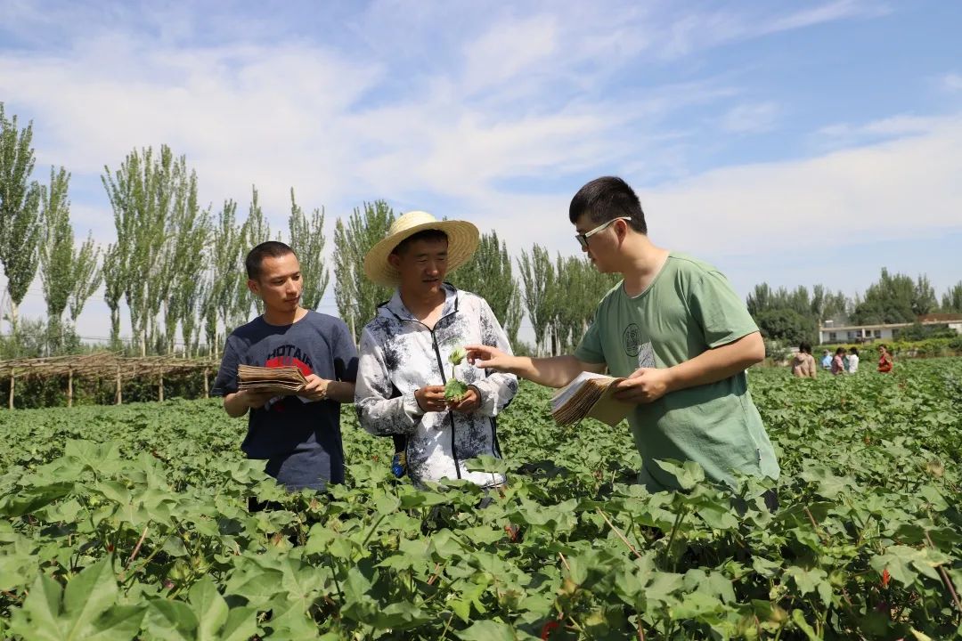 阿克苏大学_阿克苏大学有几个_阿克苏大学什么时候放寒假