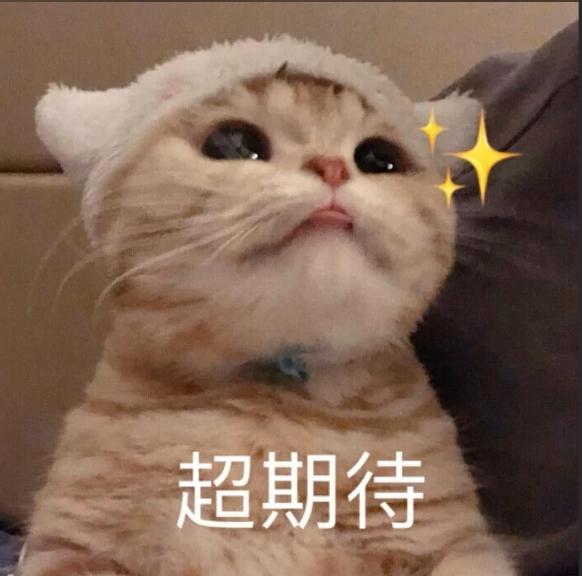 东北电力大学最好的专业_东北电力大学王牌专业_电力东北大学专业好就业吗