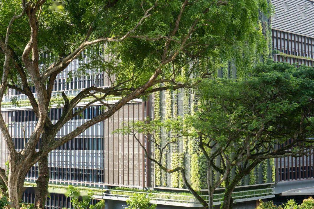 新加坡的设计学院_新加坡哪些大学有设计专业_新加坡科技与设计大学硕士