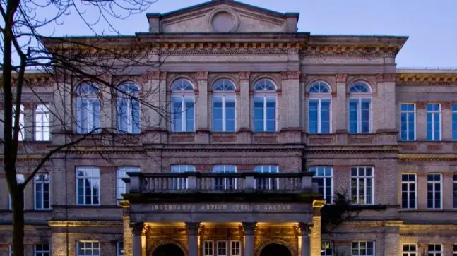 大学音乐表演都学什么条件_音乐表演大学学什么_表演大学条件音乐学考什么