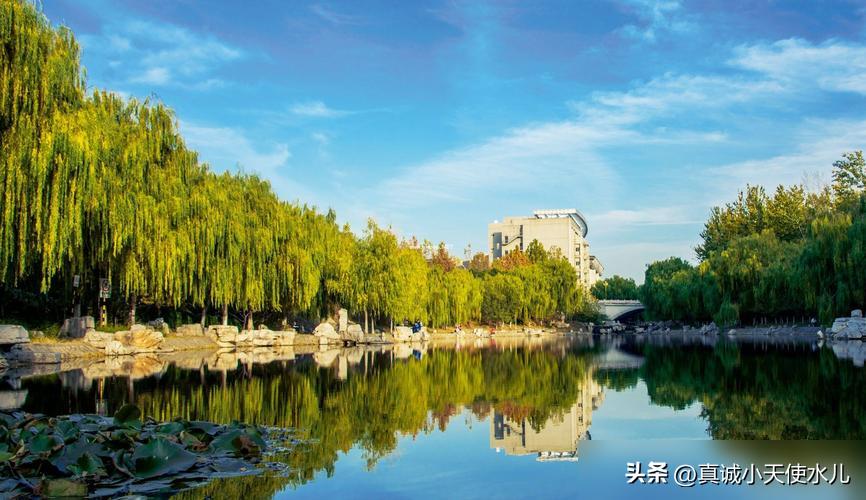 济南大学怎么走_到济南上大学有哪些地方吗_到济南大学坐到济南哪个站