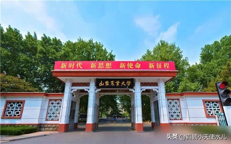 到济南大学坐到济南哪个站_济南大学怎么走_到济南上大学有哪些地方吗