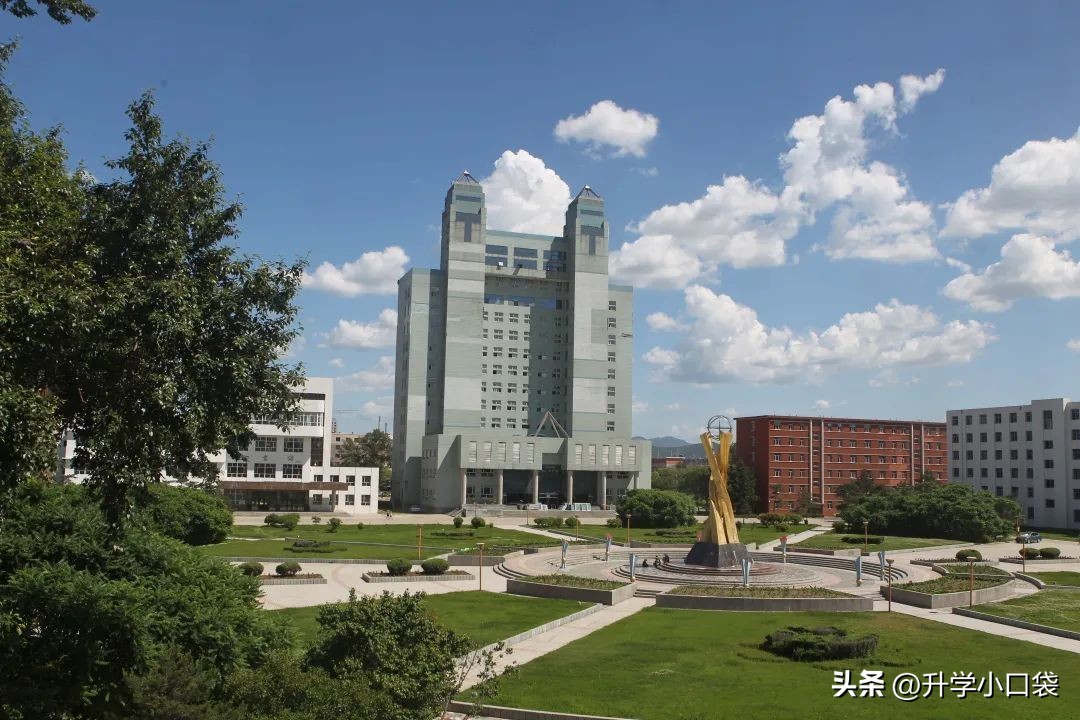 东北电力大学专业排行榜_东北电力的王牌专业_东北电力大学专业 排名