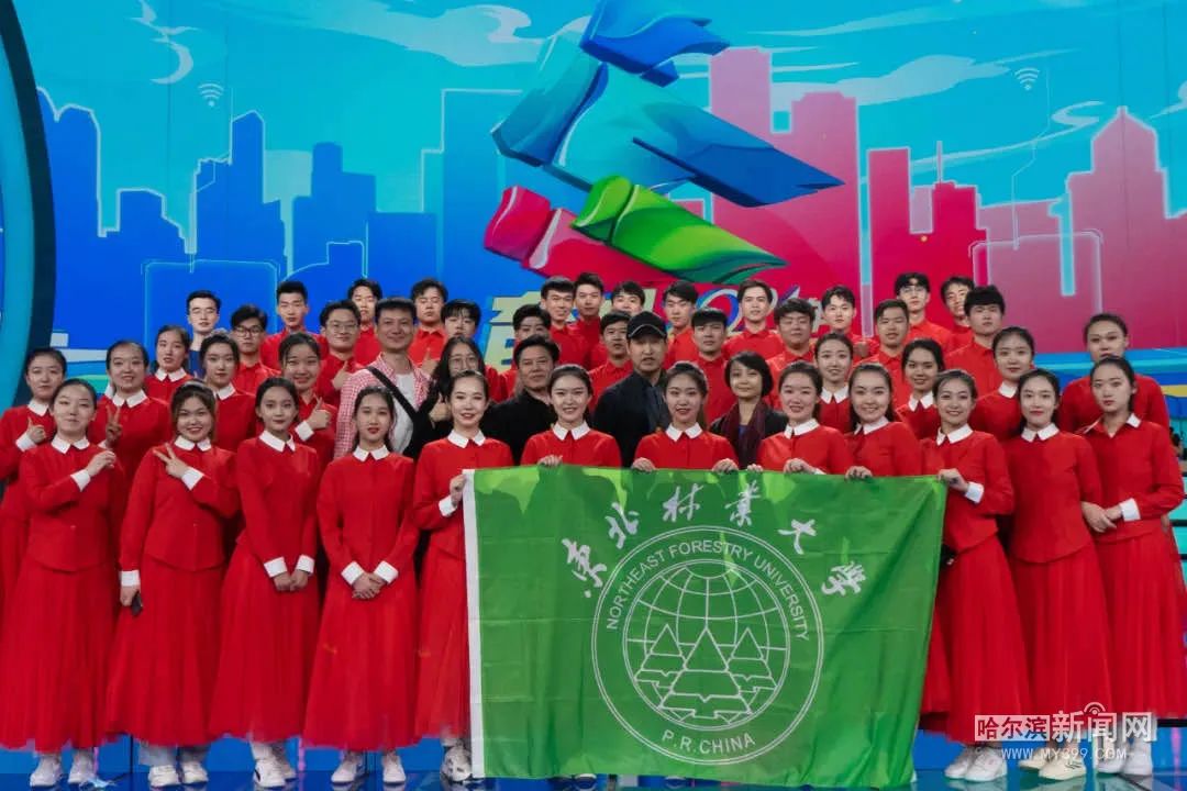 东北才艺表演_东北大学文艺表演节目_东北的表演艺术