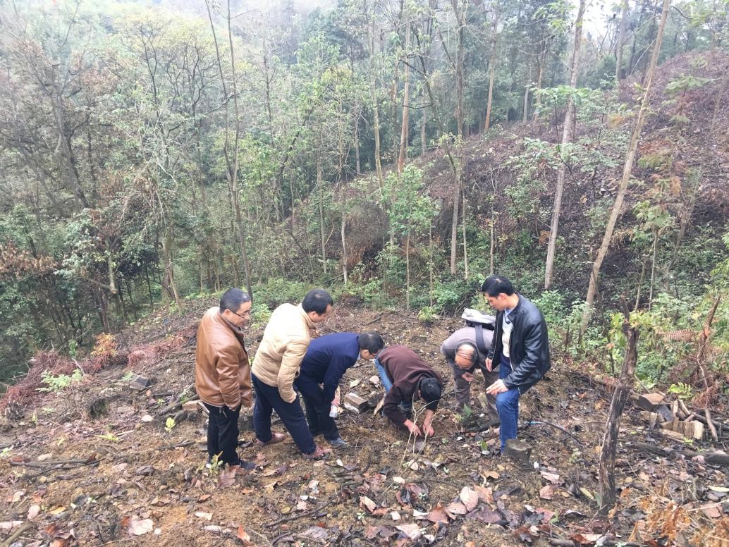 东华大学工商管理老师_东华大学管理学院导师_东华大学管理学院老师