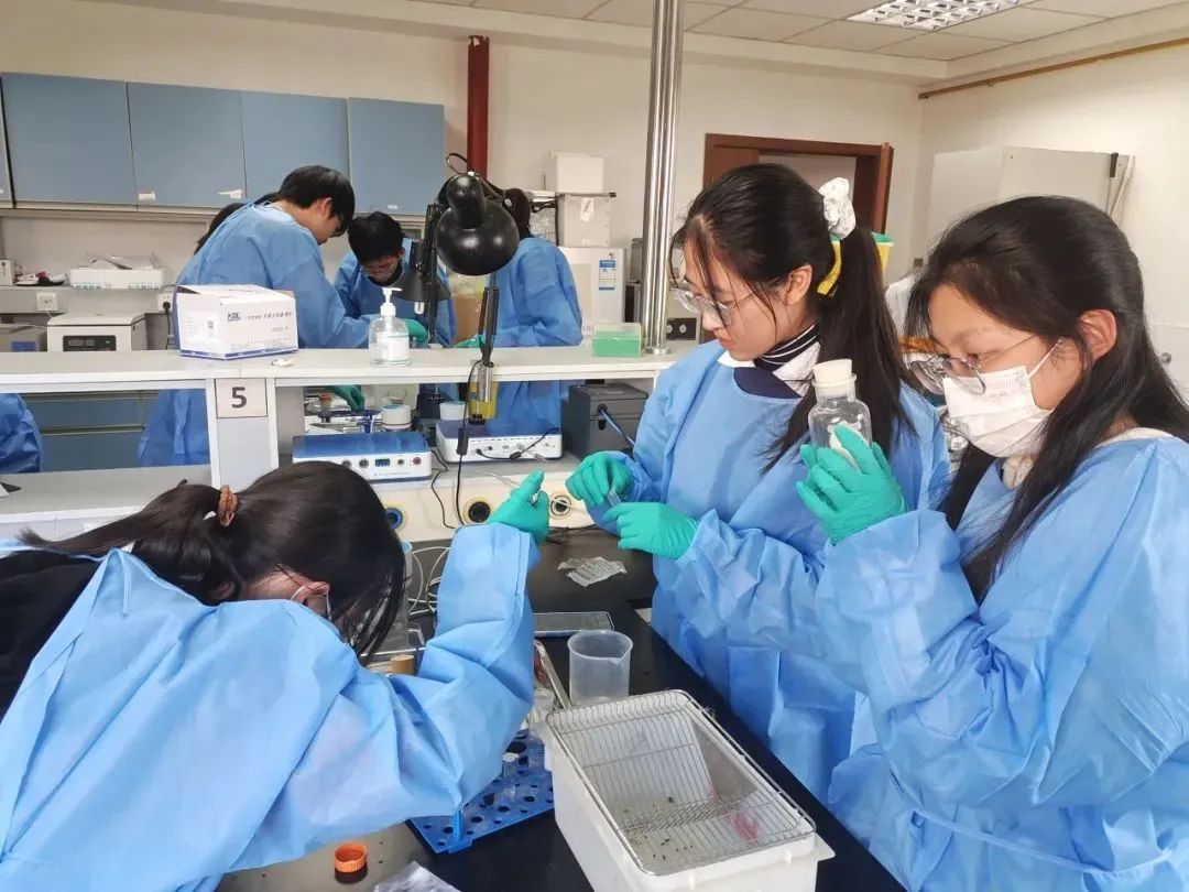 复旦大学注册领书_复旦大学线上注册_复旦注册