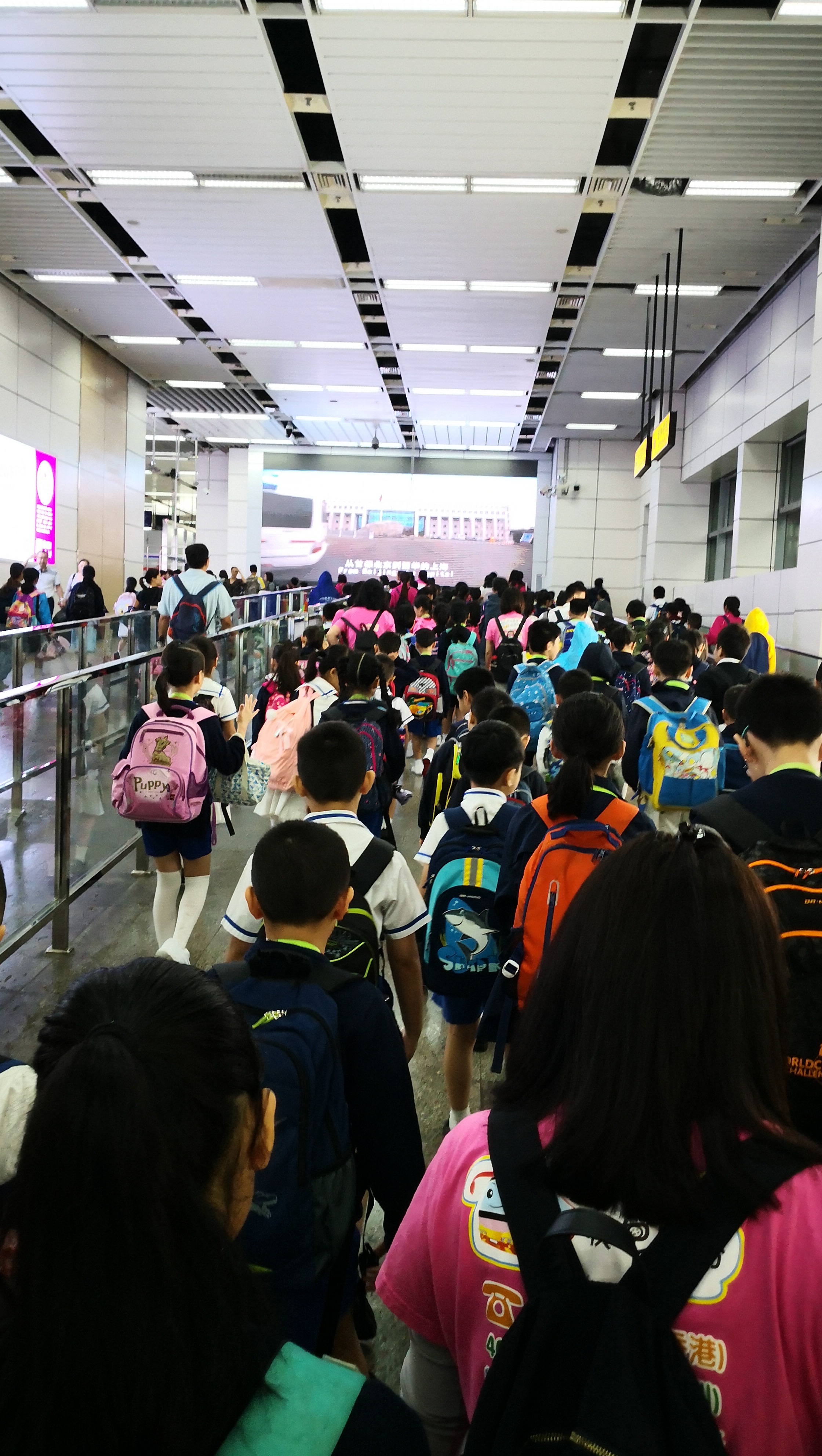 暨南大学普通话考级_大学生普通话考级_普通话证书考级