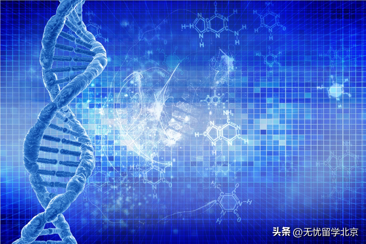 美国能源经济专业排名_能源专业全球大学排名_美国新能源专业大学排名