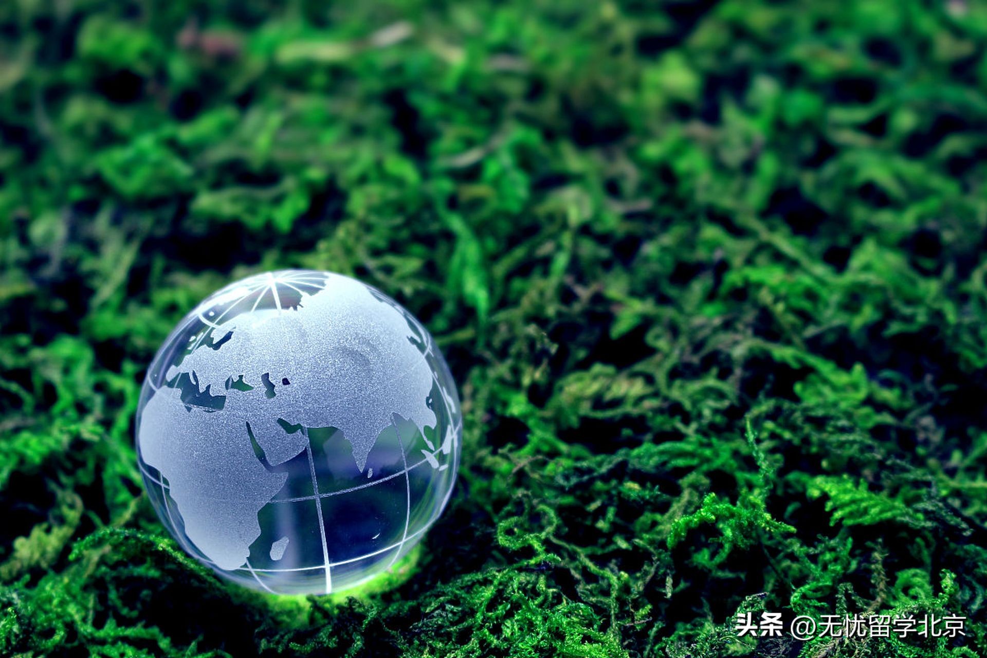 能源专业全球大学排名_美国能源经济专业排名_美国新能源专业大学排名