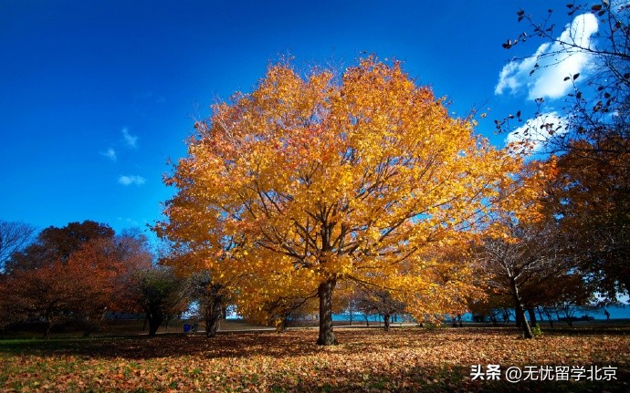 能源专业全球大学排名_美国能源经济专业排名_美国新能源专业大学排名