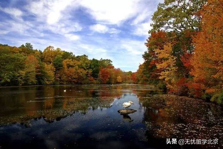 美国新能源专业大学排名_美国能源经济专业排名_能源专业全球大学排名
