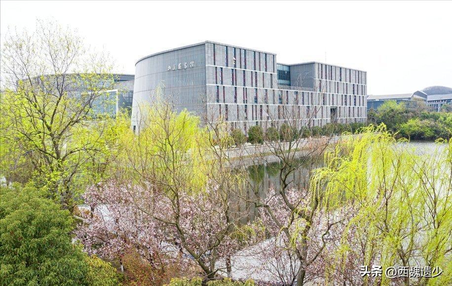 南京大学学生总人数_南京大学本科生数量_南京大学本科学生总数
