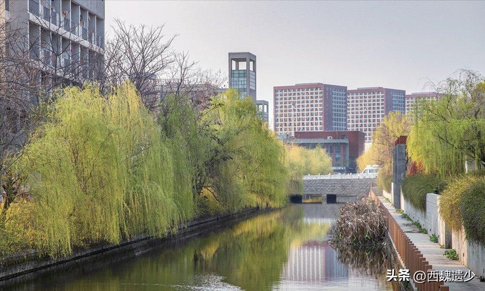 南京大学本科生数量_南京大学学生总人数_南京大学本科学生总数