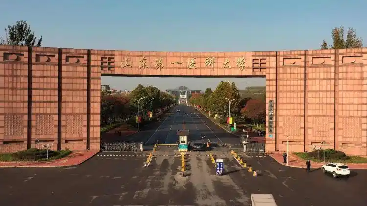 山东科学大学排名_山科山东排名_山东的科学院