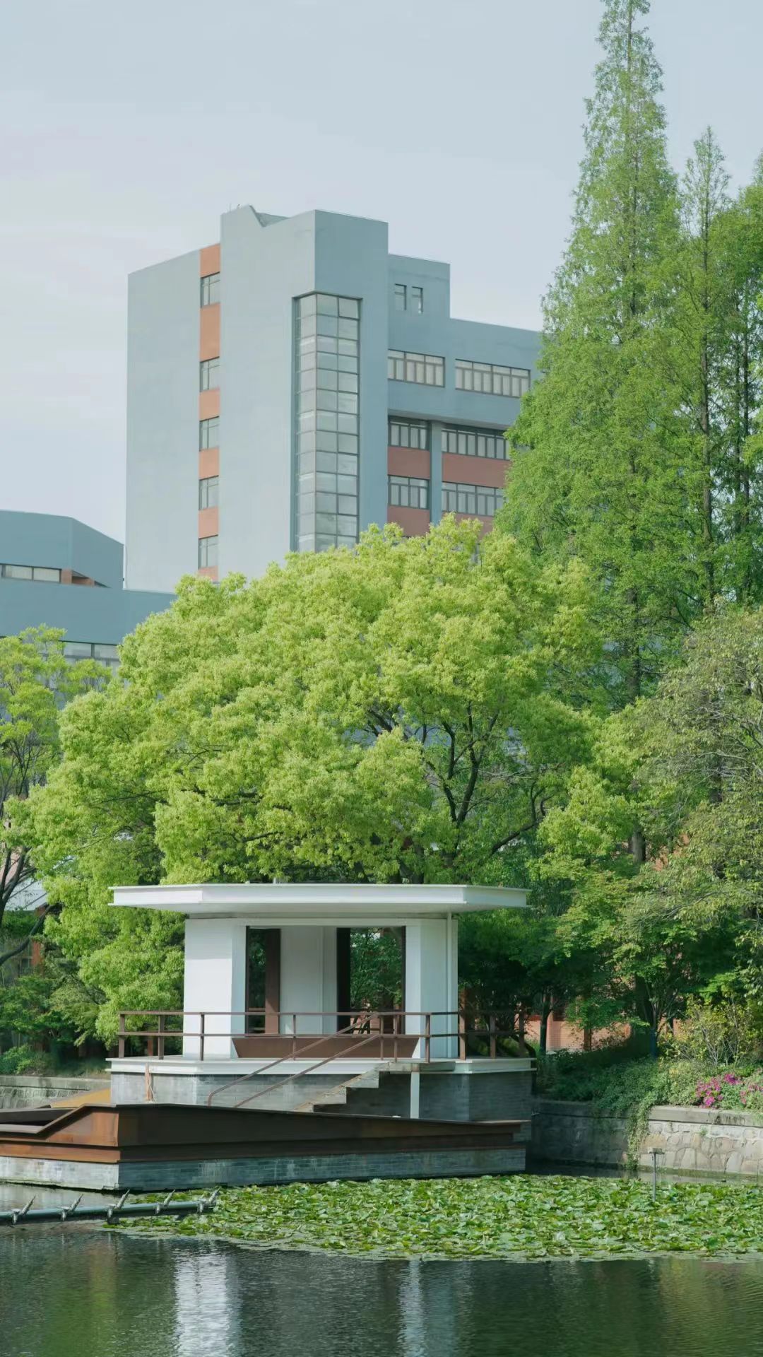 上海学校校车_上海交大校车_上海大学车辆入校