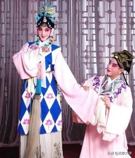 北京大学教学有哪些_大学北京_北京的大学停课了吗