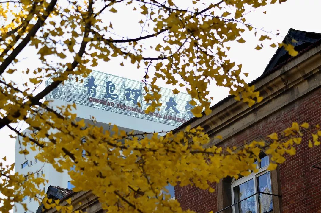 青岛理工大学山东考_青岛理工在山东大学排名_理工青岛考山东大学难吗