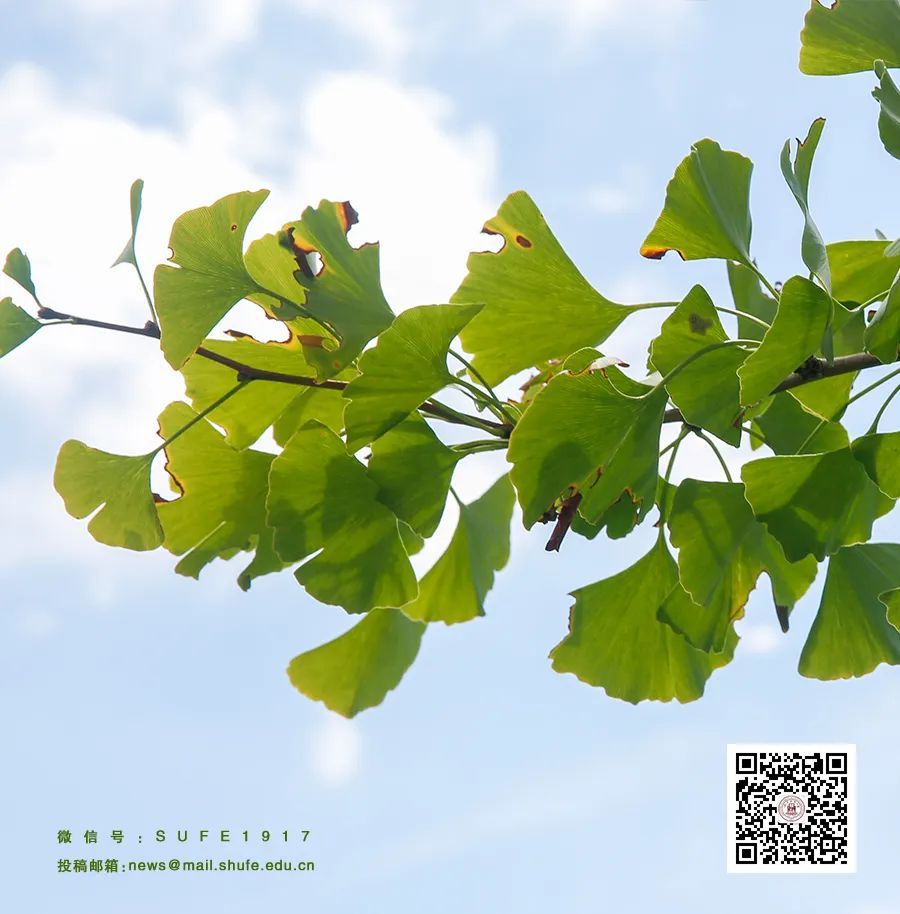 上海财经高水平艺术团_上海财经大学高水平_上海财经大学师资水平