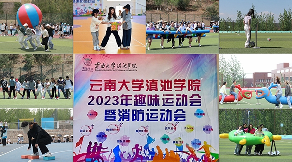 云南大学社会学院本科专业_云南大学社会学系_云南大学社会学就业前景