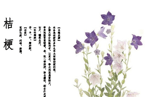 成都大学有啥_成都大学适合女生读吗_最适合成都的大学