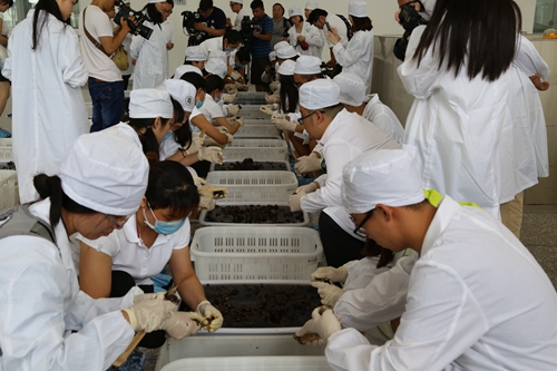 成都大学适合女生读吗_最适合成都的大学_成都大学有啥