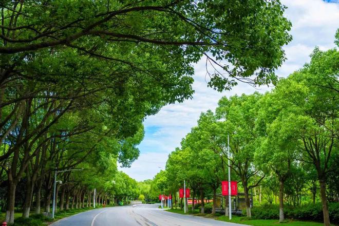 东华大学双一流建设_东华大学211工程_东华大学录取的分数线