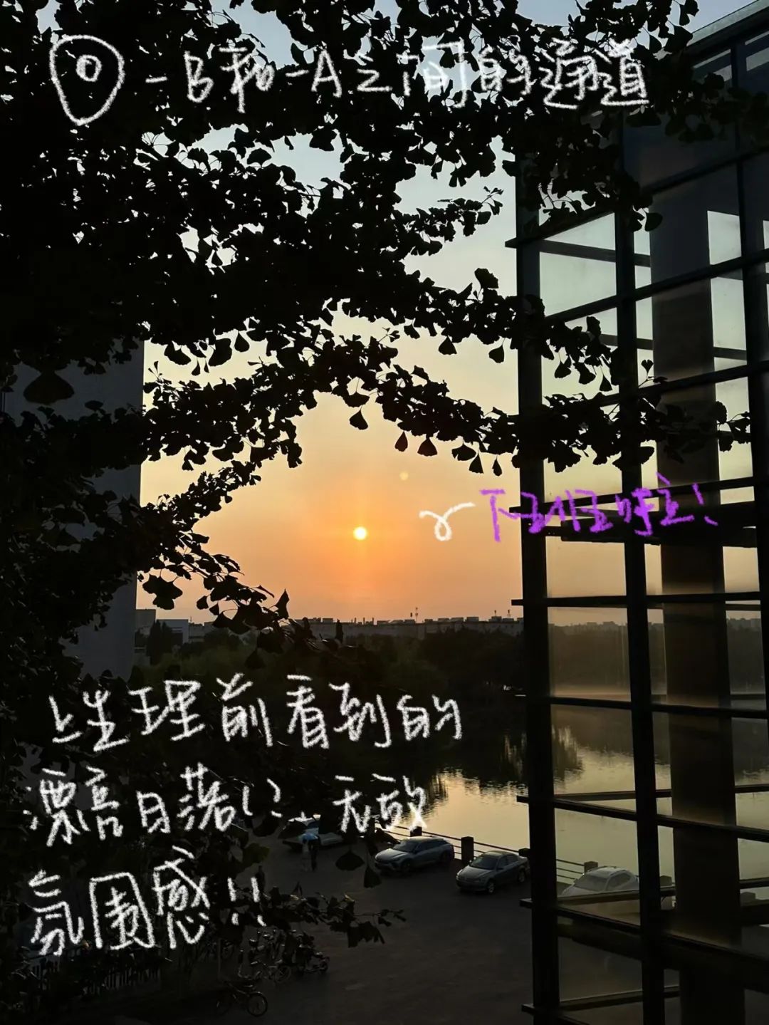  好好阅读川大故事 _四川大学研究生推荐书目查询_川大生活好习惯 