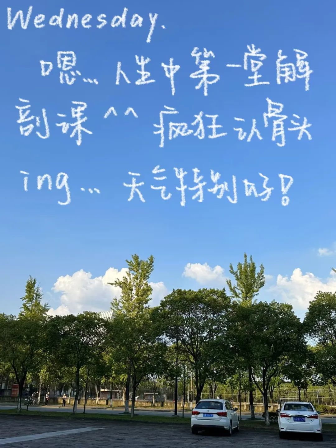 四川大学研究生推荐书目查询_ 好好阅读川大故事 _川大生活好习惯 