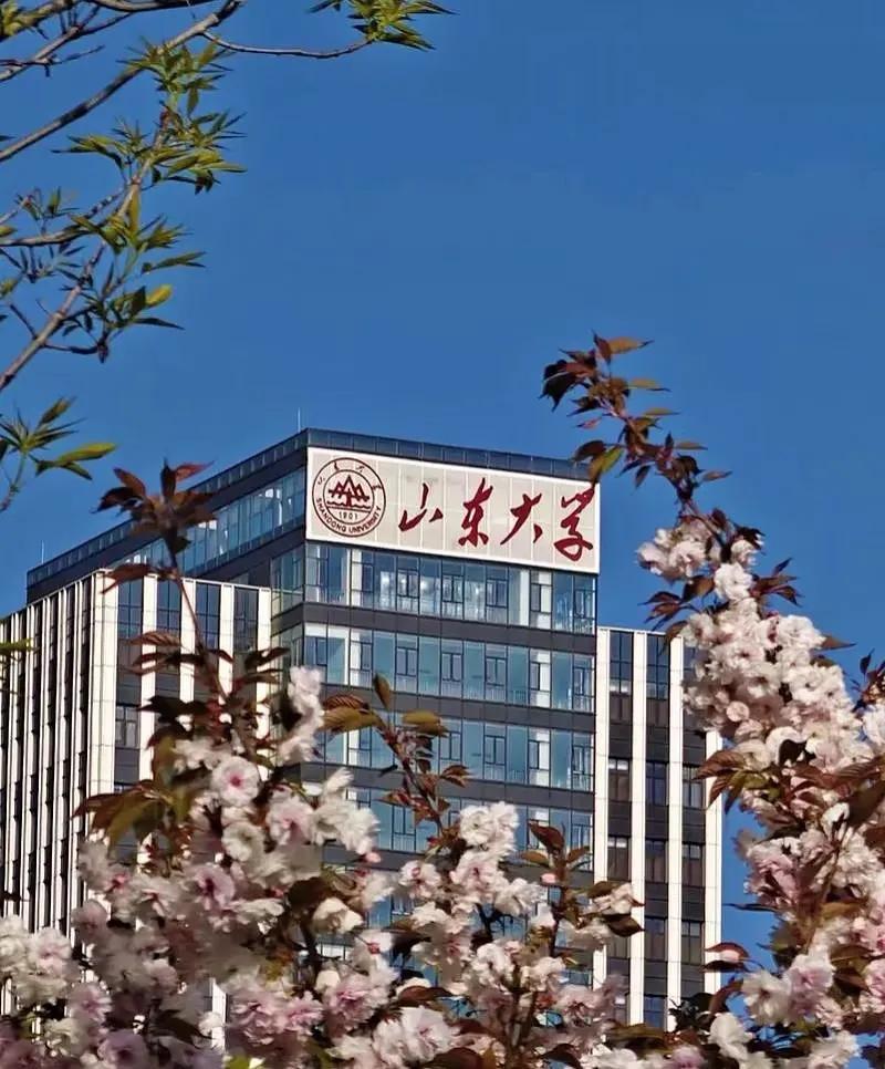 山东大学与厦门大学学科排名_厦门大学本2_山东大学科研实力分析