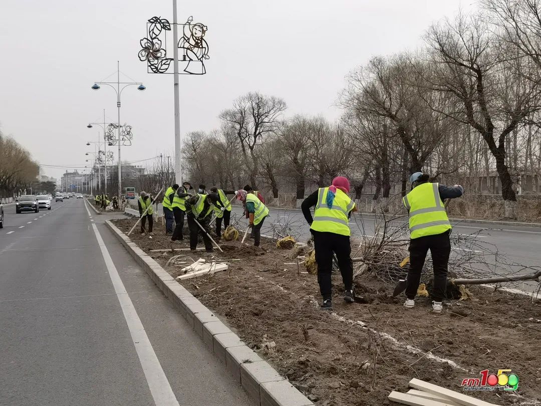 延吉市绿化带改造升级_延吉市绿化带树木补植_延边大学园林专业介绍