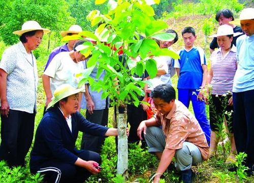 中国农业大学杨俊_杨凌农业科技大学教授_杨棱农业大学