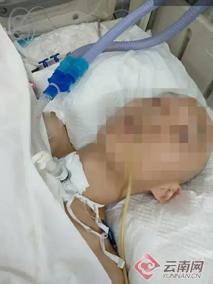 云南大学滇池学院学生跳楼事件_云南大学不安全啊_云南大学校园欺凌事件