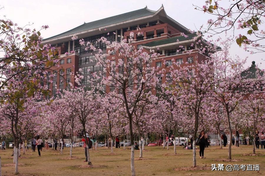 广东2017大学军训时间_广东高校秘密_广东大学军训情况