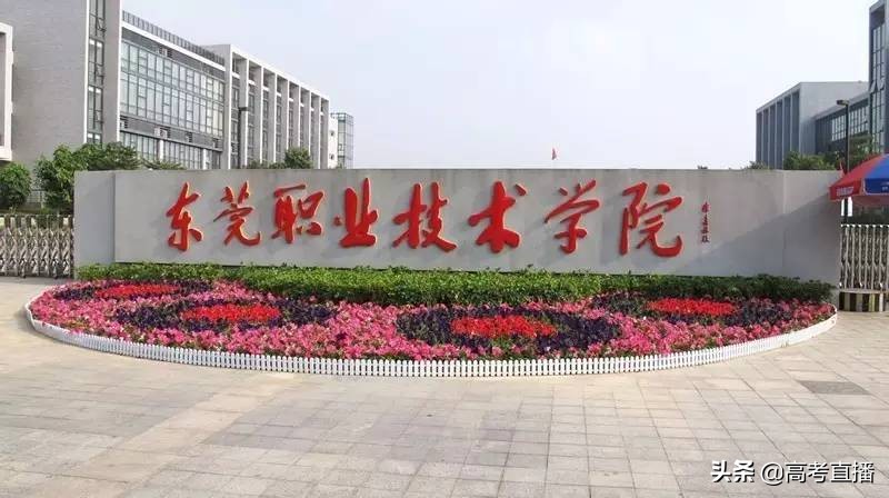 广东大学军训情况_广东2017大学军训时间_广东高校秘密