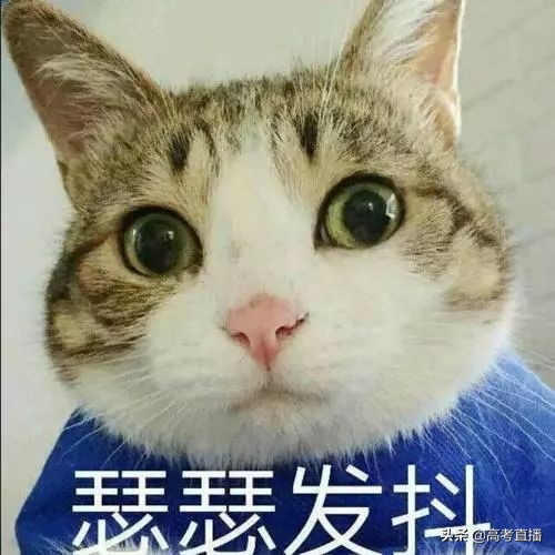 广东高校秘密_广东大学军训情况_广东2017大学军训时间
