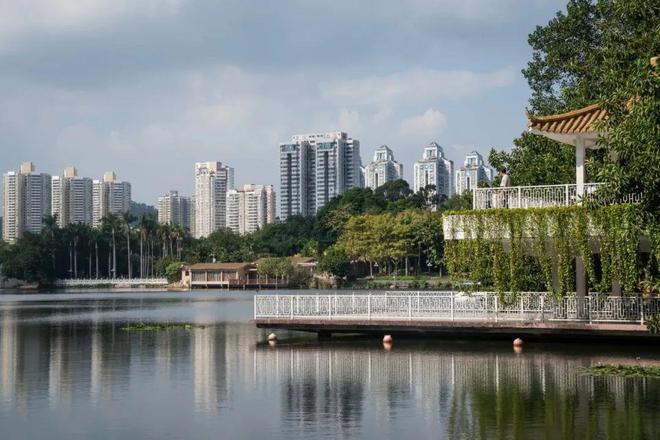 韩国国立的大学排名_中国大陆高校排名表现_2025泰晤士高等教育亚洲大学排名