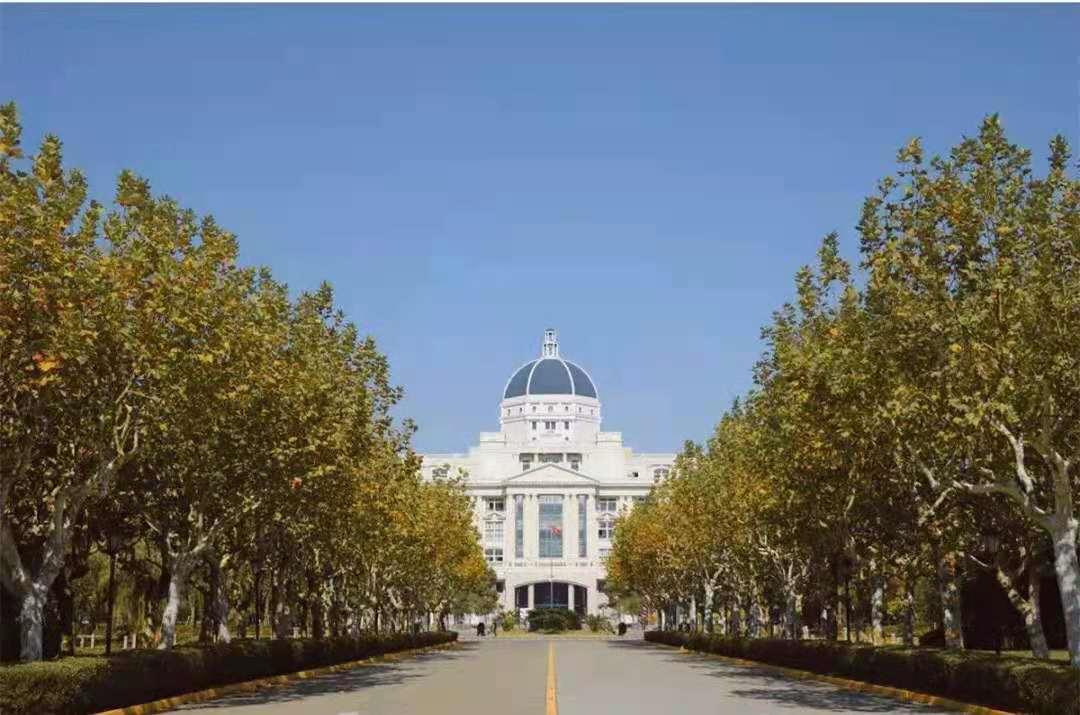 法语专业大学排名_上海外国语大学法语专业_法语专业排名